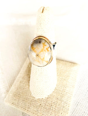 Who would think fossil jewelry would be so beautiful and feminine? This fossilized sea urchin ring is bezel set in 14 kt gold and soldered to a sterling silver back plate and hand hammered shank.