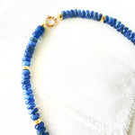 Elegant Blue Kyantite Beaded Necklace
