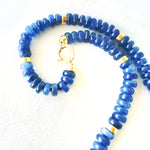 Elegant Blue Kyantite Beaded Necklace
