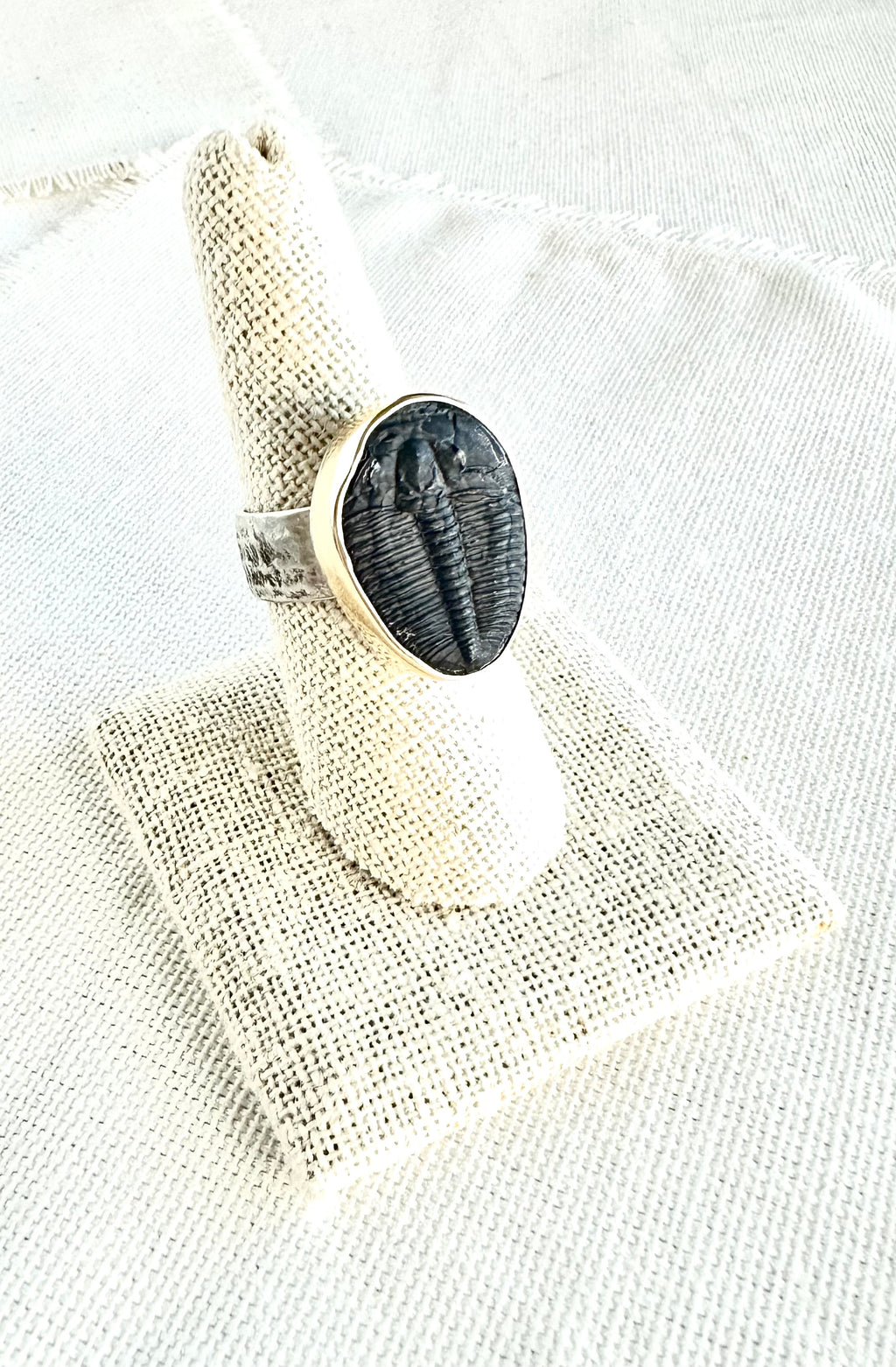 Fossilized Trilobite Signet Ring in Yellow Gold & Sterling Silver