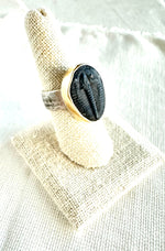 Fossilized Trilobite Signet Ring in Yellow Gold & Sterling Silver