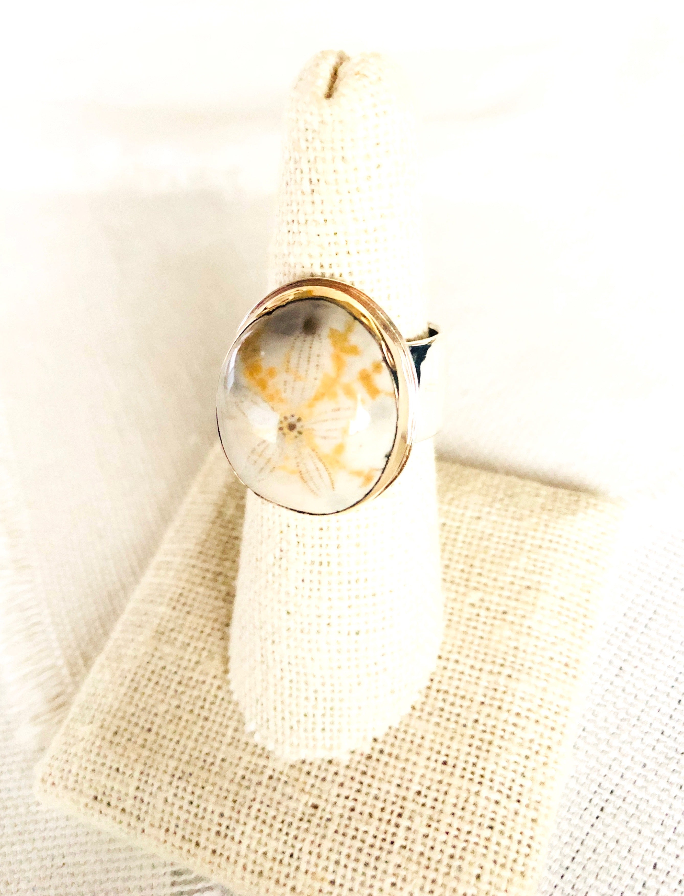 Who would think fossil jewelry would be so beautiful and feminine? This fossilized sea urchin ring is bezel set in 14 kt gold and soldered to a sterling silver back plate and hand hammered shank.