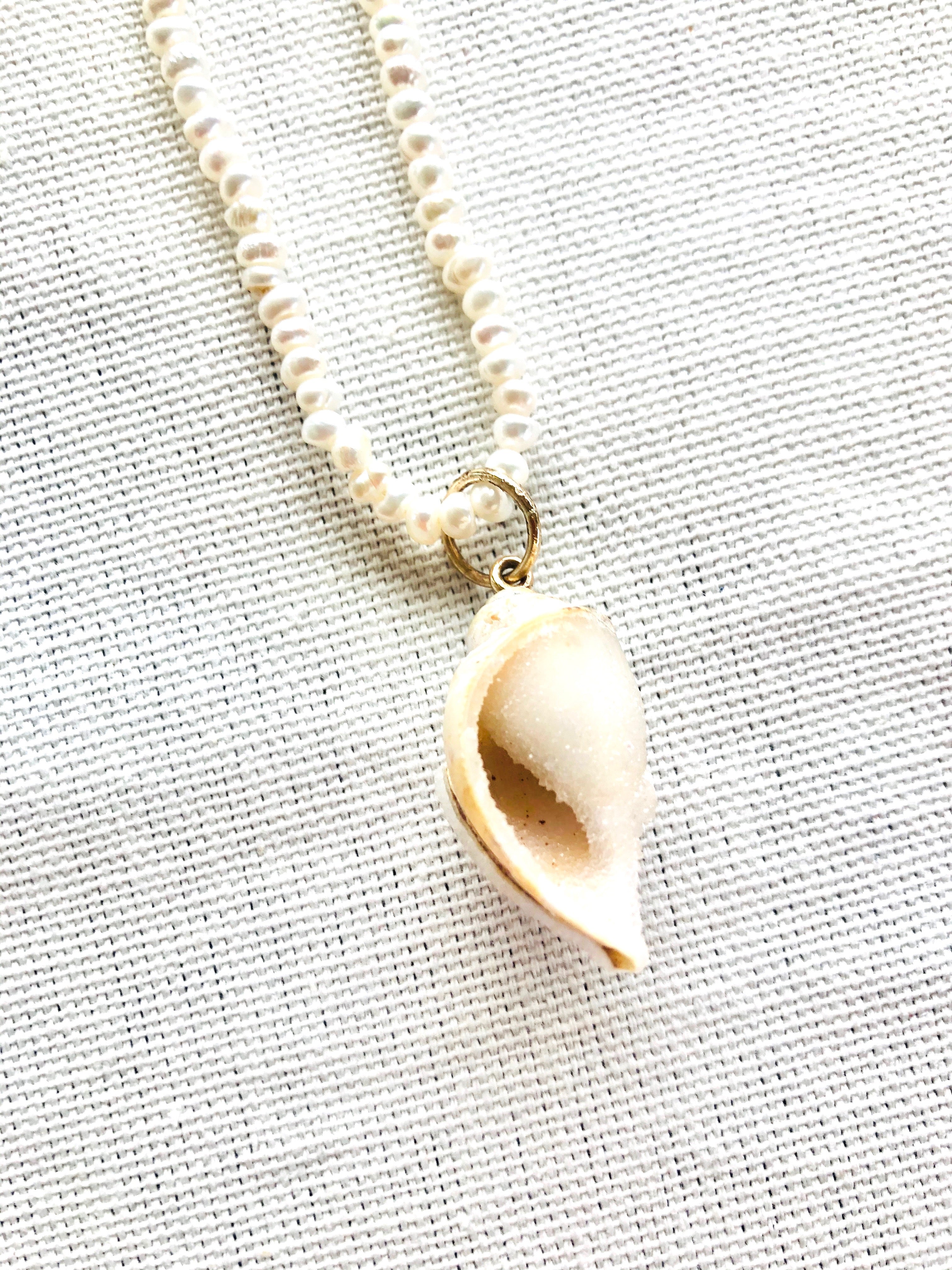 Druzy Fossilized Shell on Seed Pearls